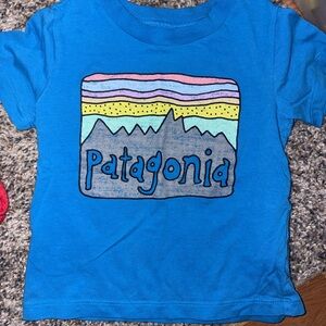 Patagonia Blue Tee with Colorful Mountain Graphic